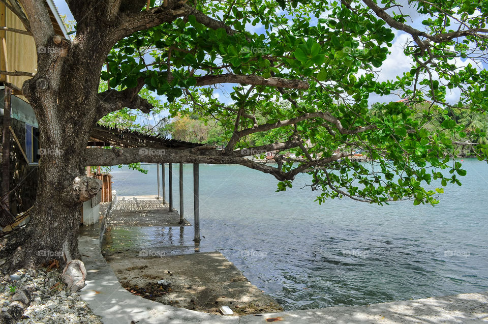 Privet house and small peace of beach under the big tree  