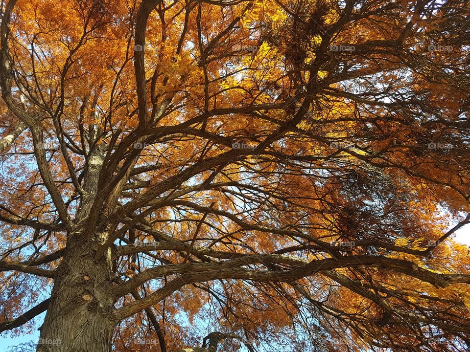 Late and beautiful Autumn.