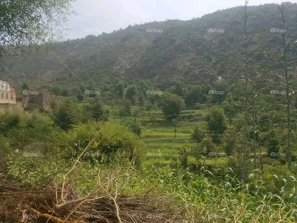 Glory be to God, the magnificent and picturesque view and the natural green trees are a view that is nothing more wonderful than it