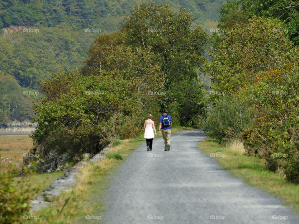 Trail. Mawddach trail Wales