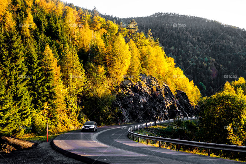 Car driving on road through autumn forest