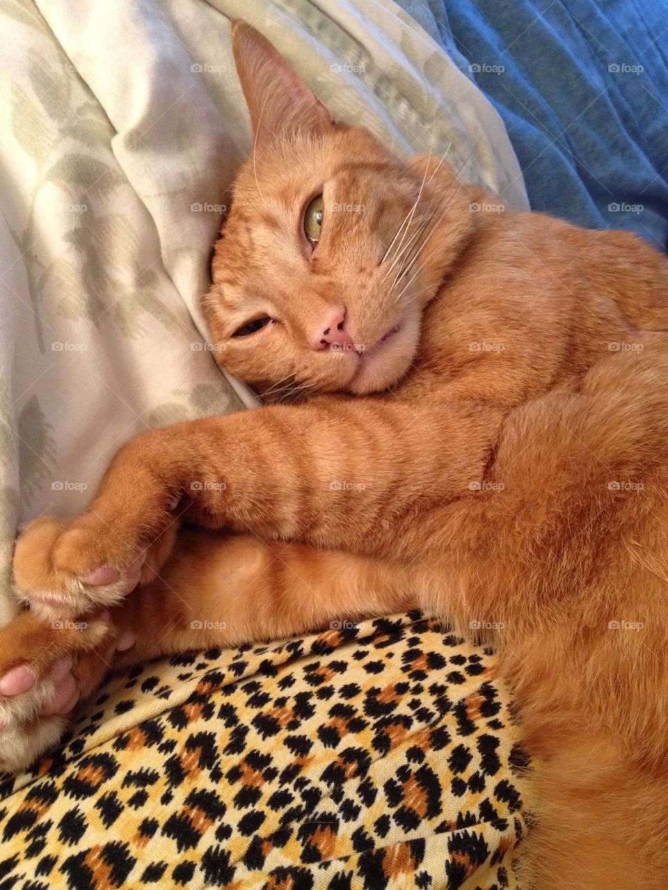 The eyes reveal the soul