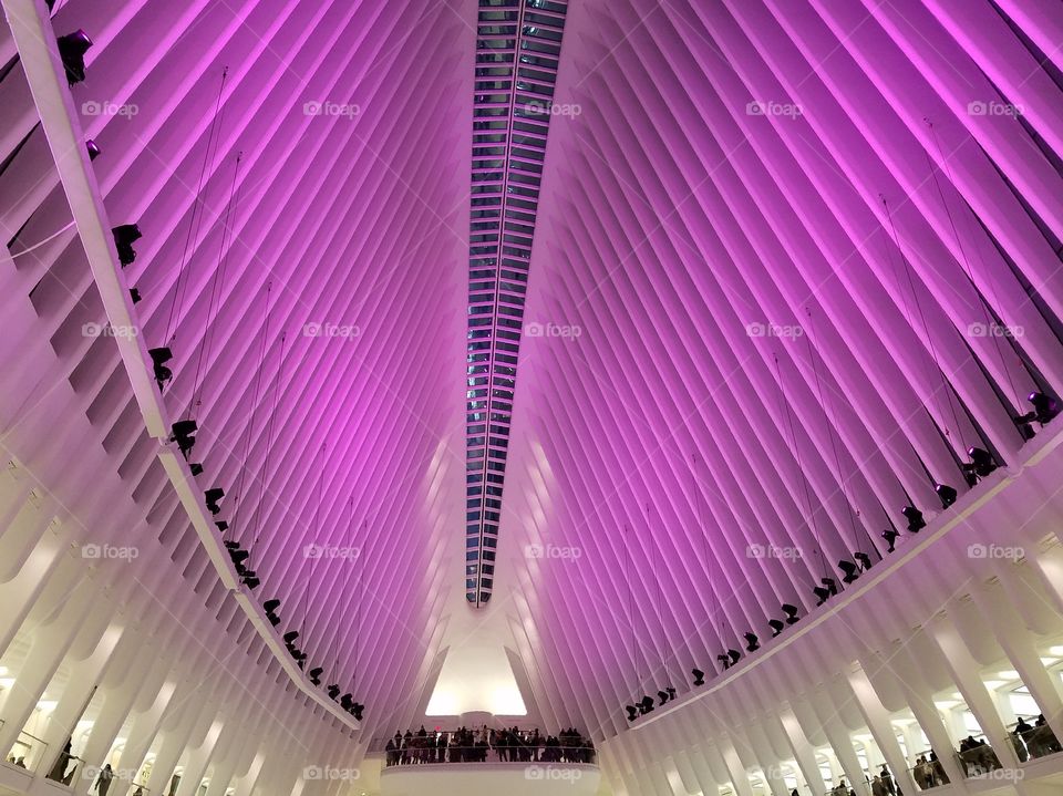 Inside of The Oculus - Purple
