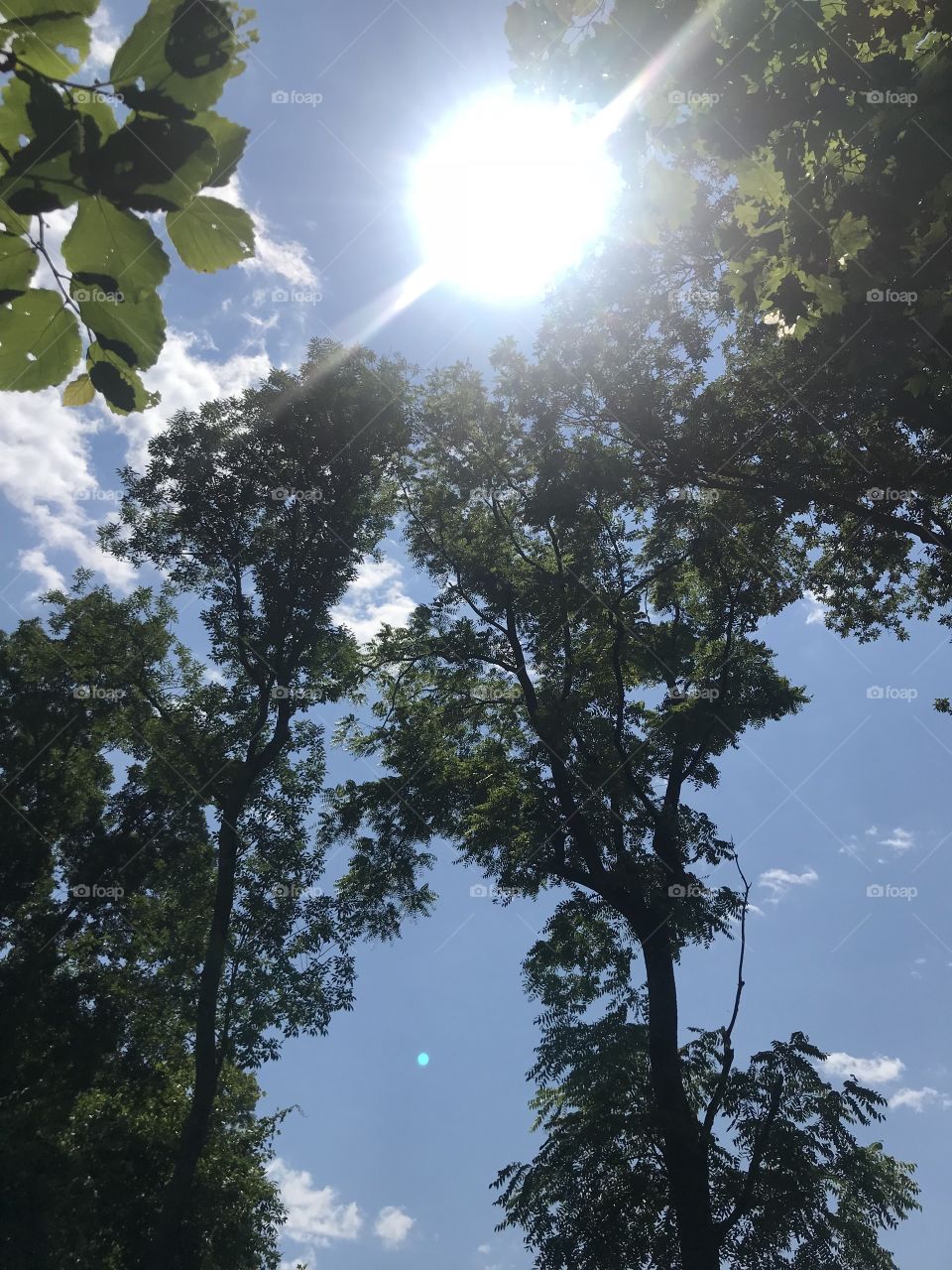 Let the light shine. 