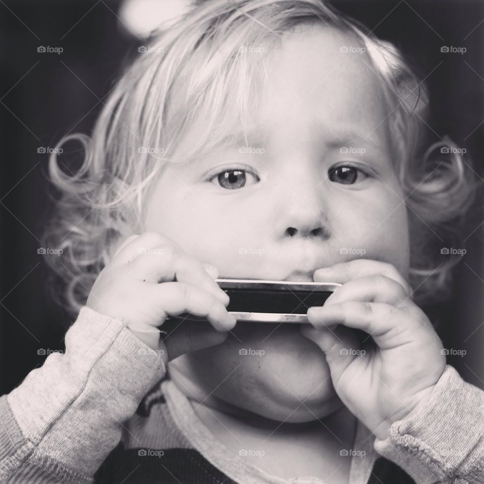 Harmonica