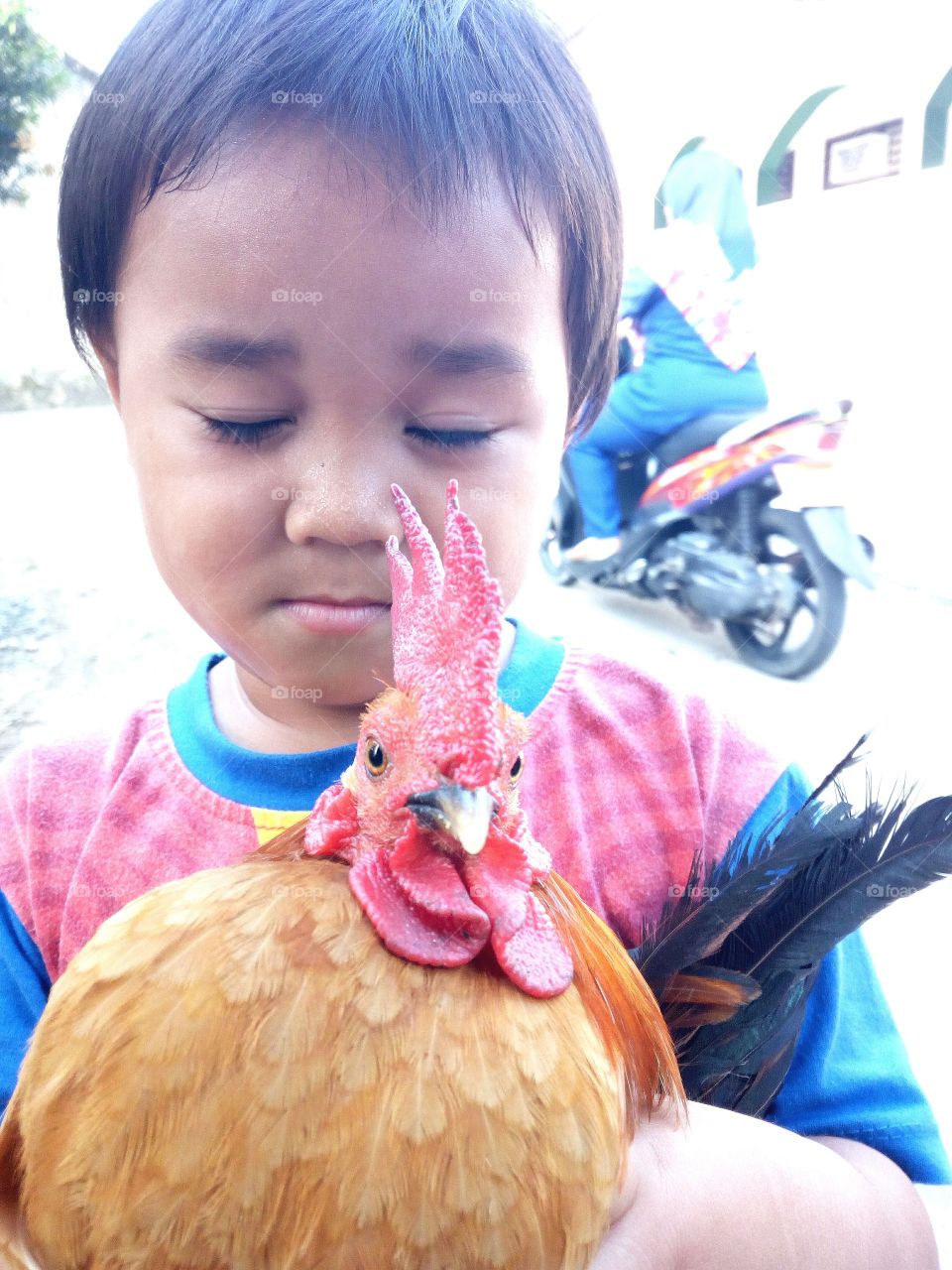 Small boy holding chicken bird