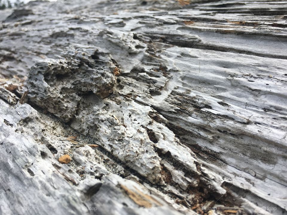 Texture, Fabric, Rough, Desktop, Pattern