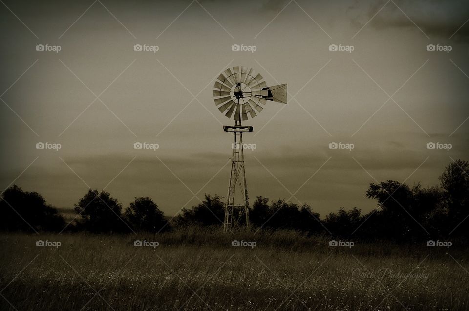 Windmill 