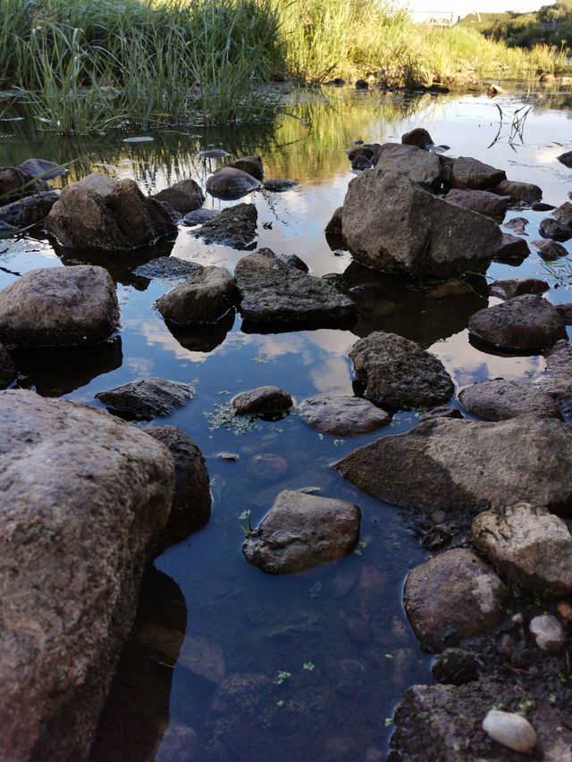River stones