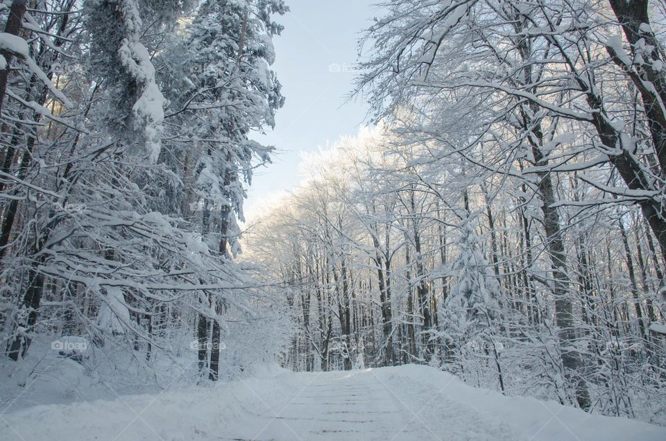 Travelling in heavy snow