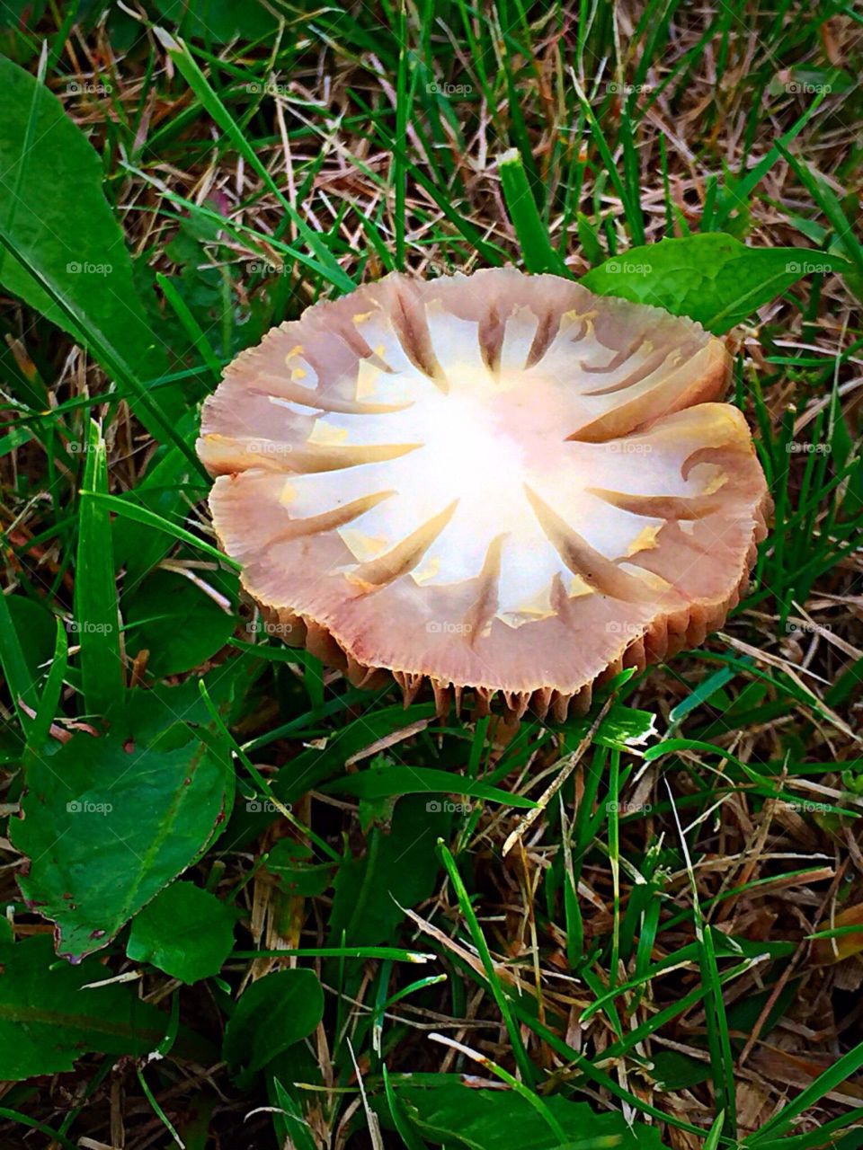 Surprise. After a big Rain 