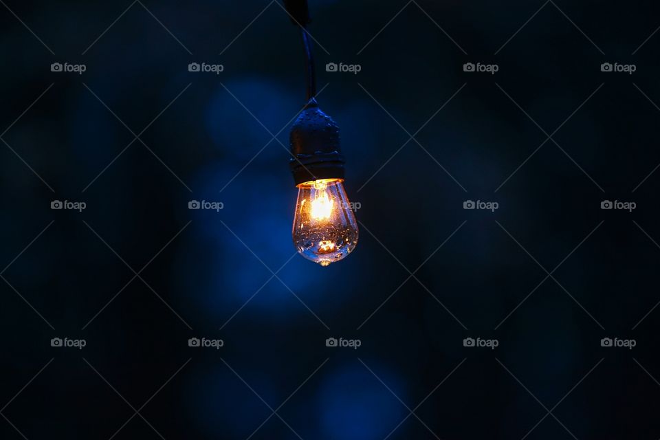 The Bulb