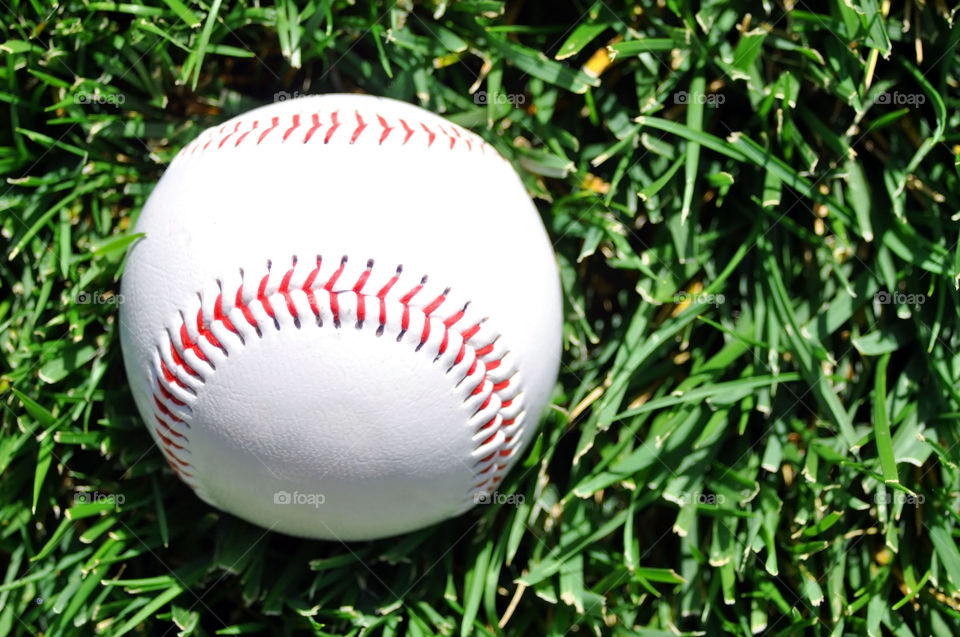 Baseball laying in the grass. 