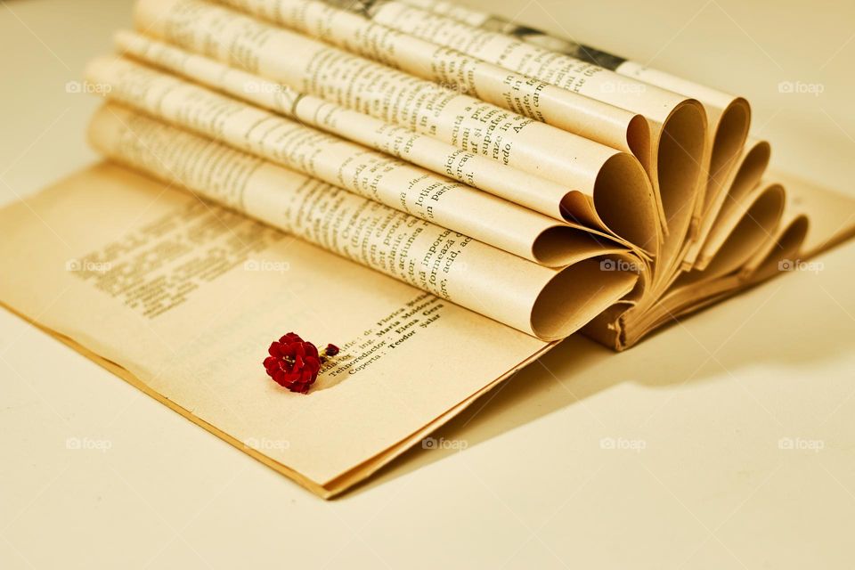 A book, a flower, it's spring!