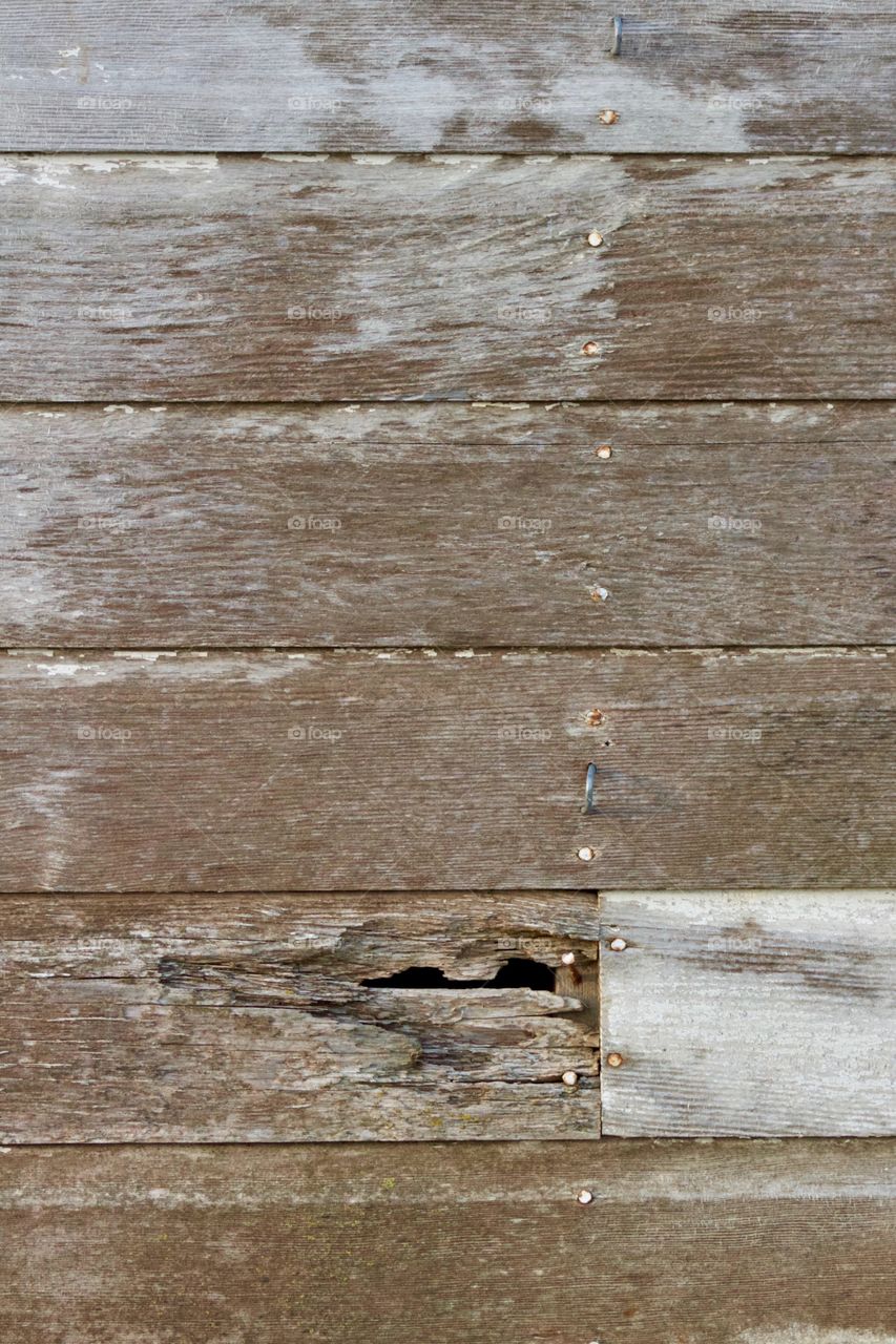 Weathered and decaying wooden siding with rusty nails on an antique farm building 