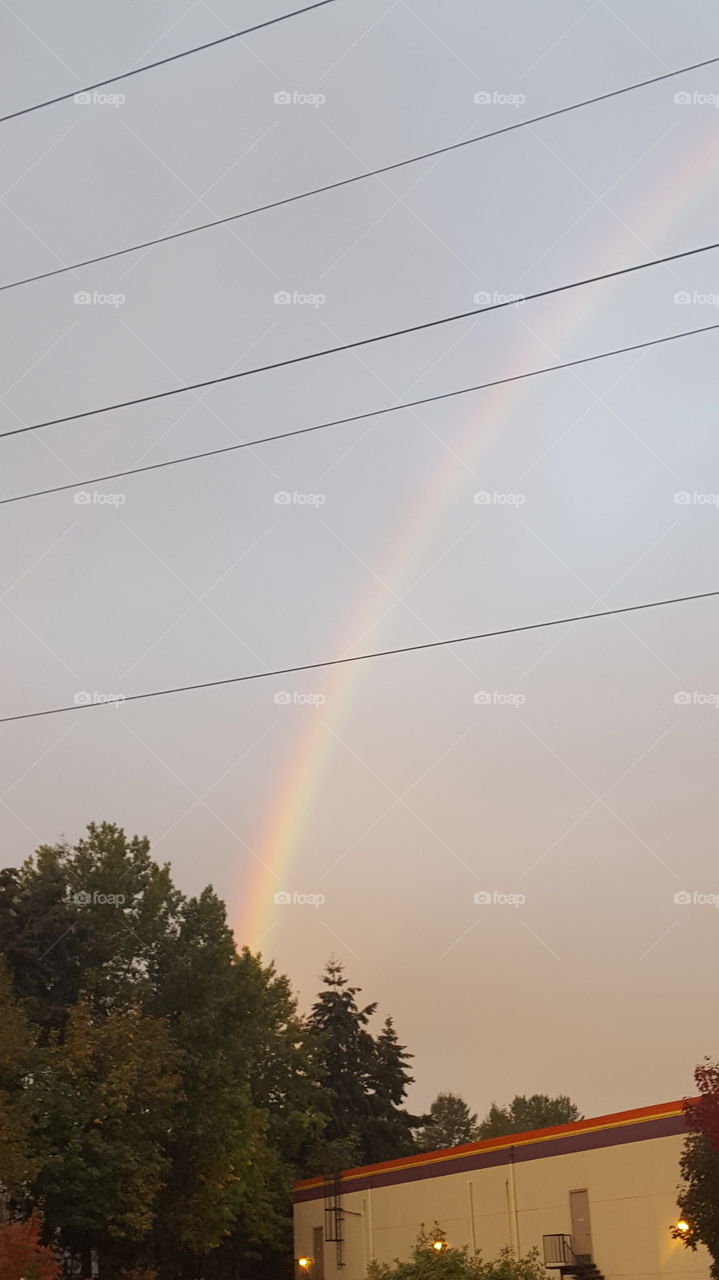 rainbow and wires