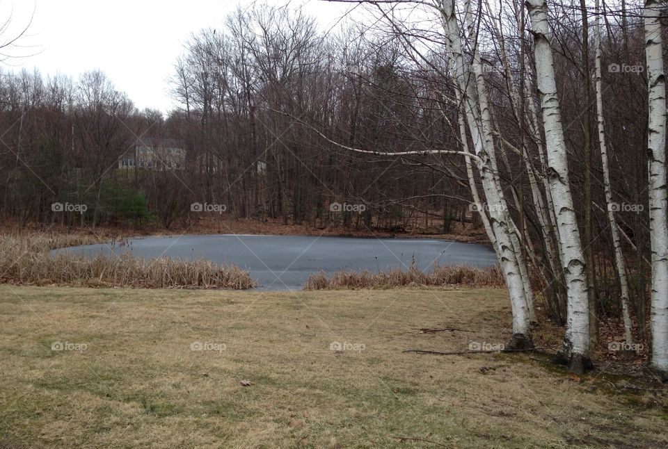 Winter will soon be here as the grass turns brown, the trees have lost there leaves, and the ponds start to freeze...