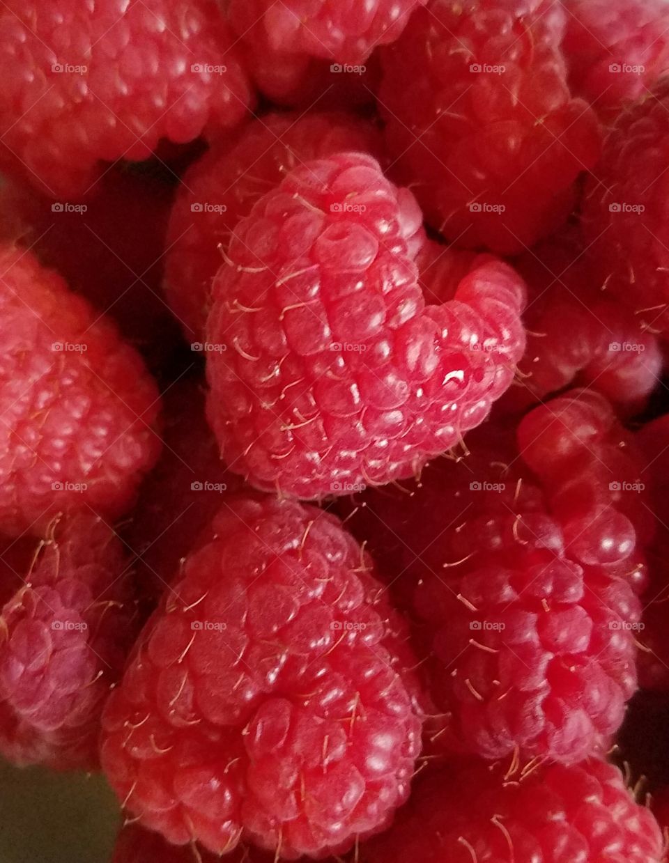 Full frame of raspberry