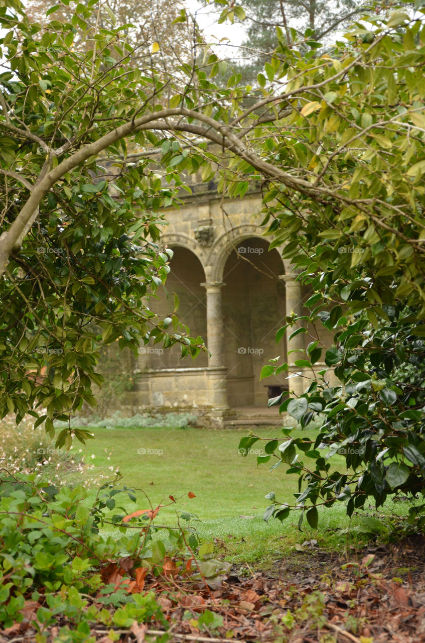 trees forest autumn family by ShutterBug_NikonGirl
