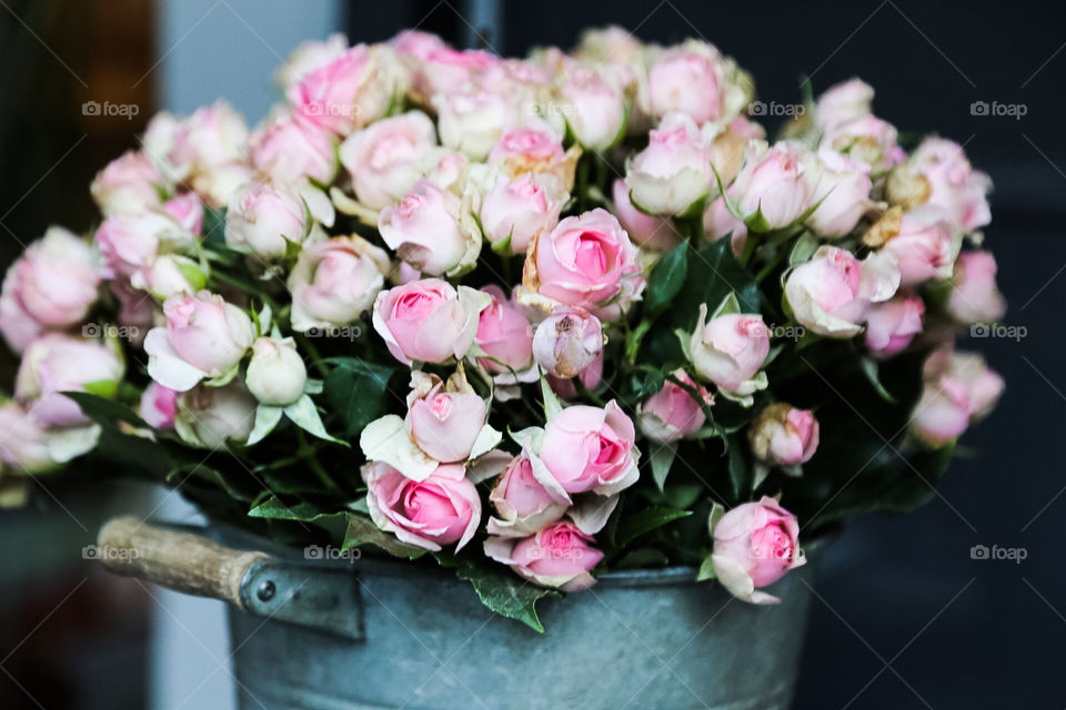 A very beautiful bouquet of pink colored roses 