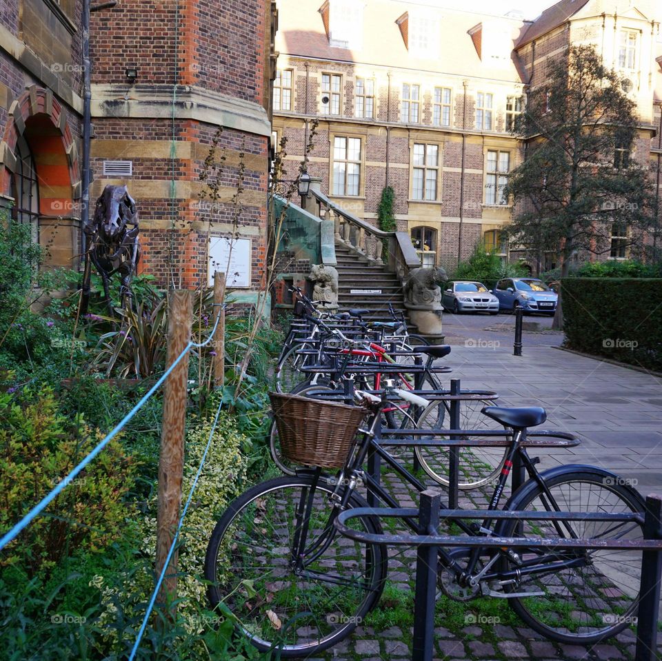 Bicycles parked in a rack in city of Cambridge 🇬🇧