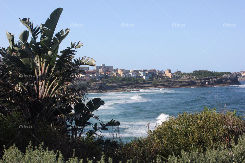beach ocean grass sun by bobbyjmoore