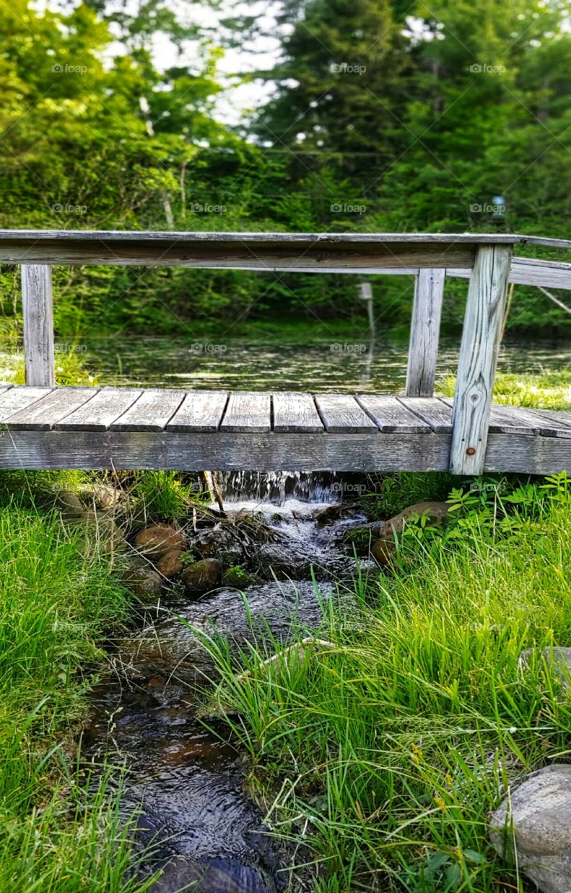 A bridge over a Creek!