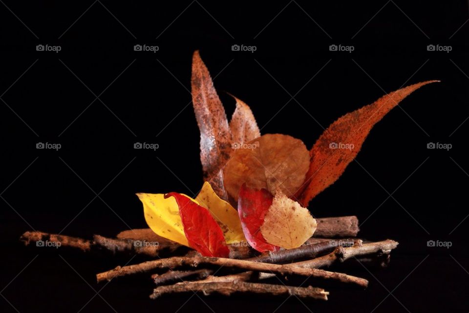 Burning autumn leaves