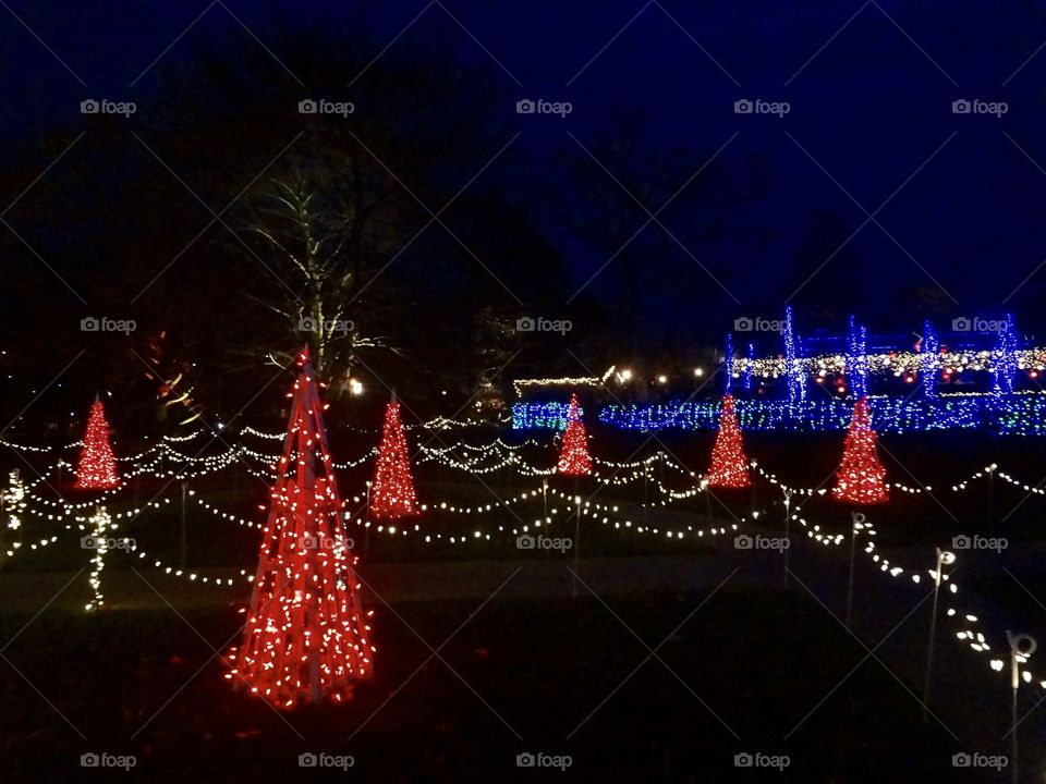 Red Trees and String Lights