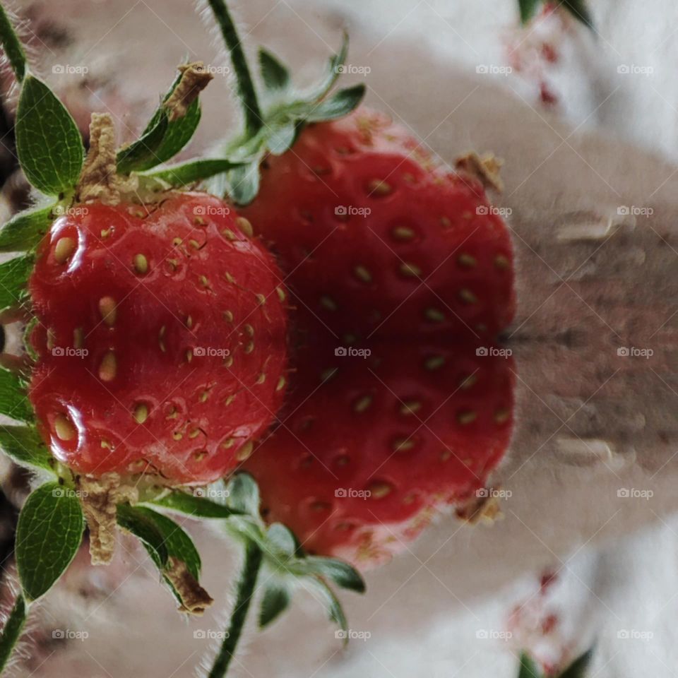 Strawberries, mirror