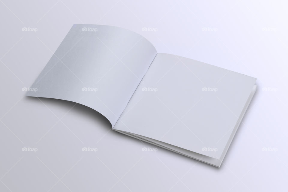 White blank open brochure / book