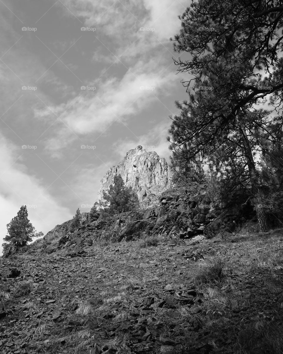 Black and White geology in Central Oregon 