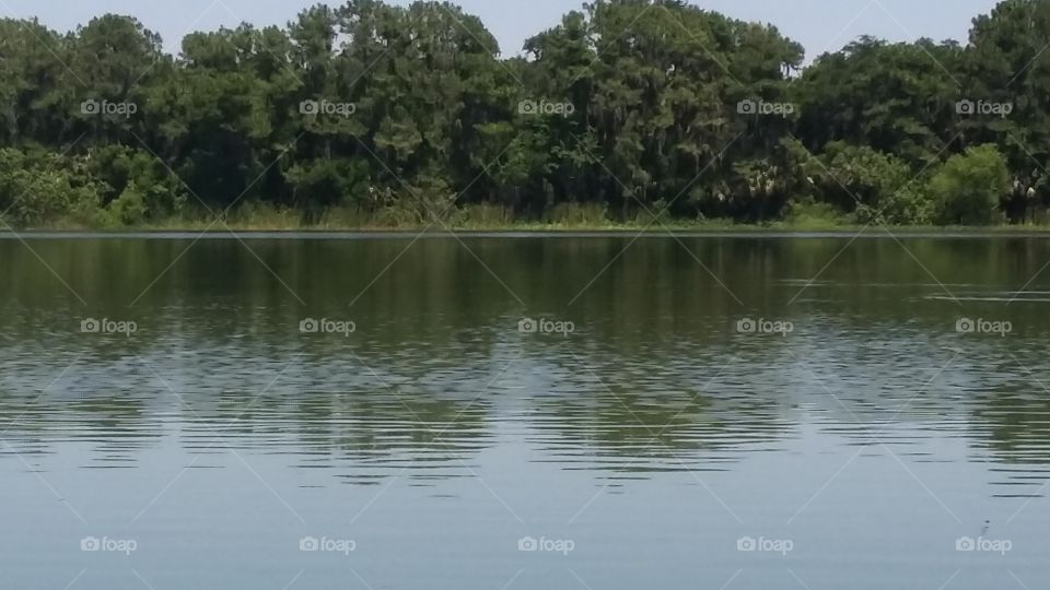 Water, River, Lake, Landscape, Tree