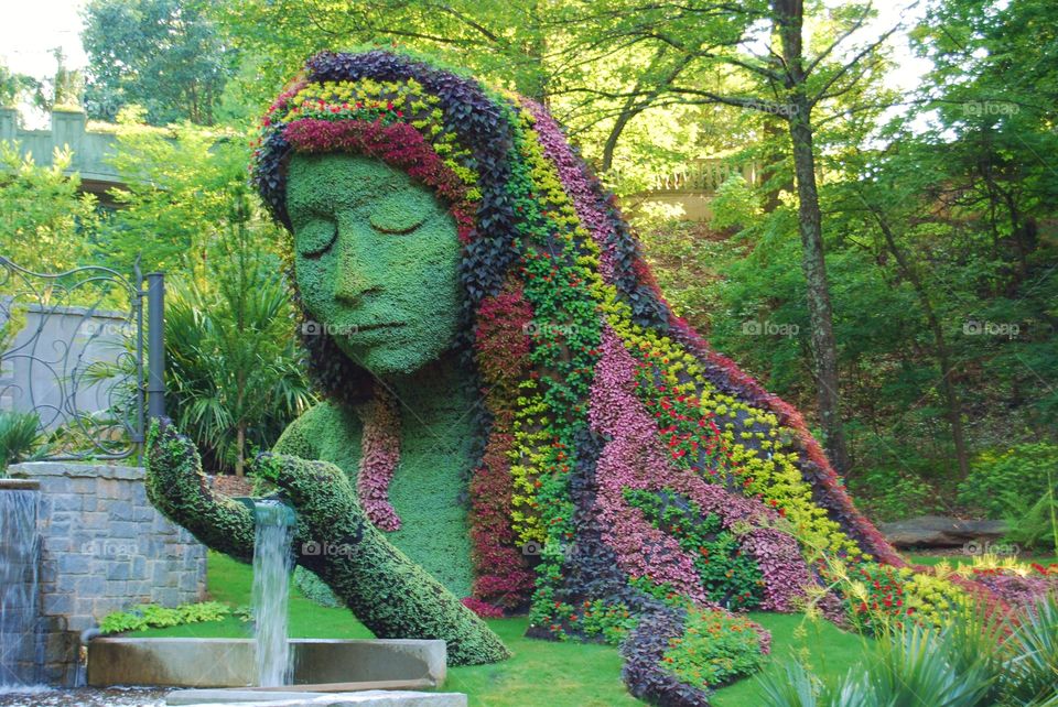 Flowers forming a ladies face and hair. Flowers forming a ladies face and hair