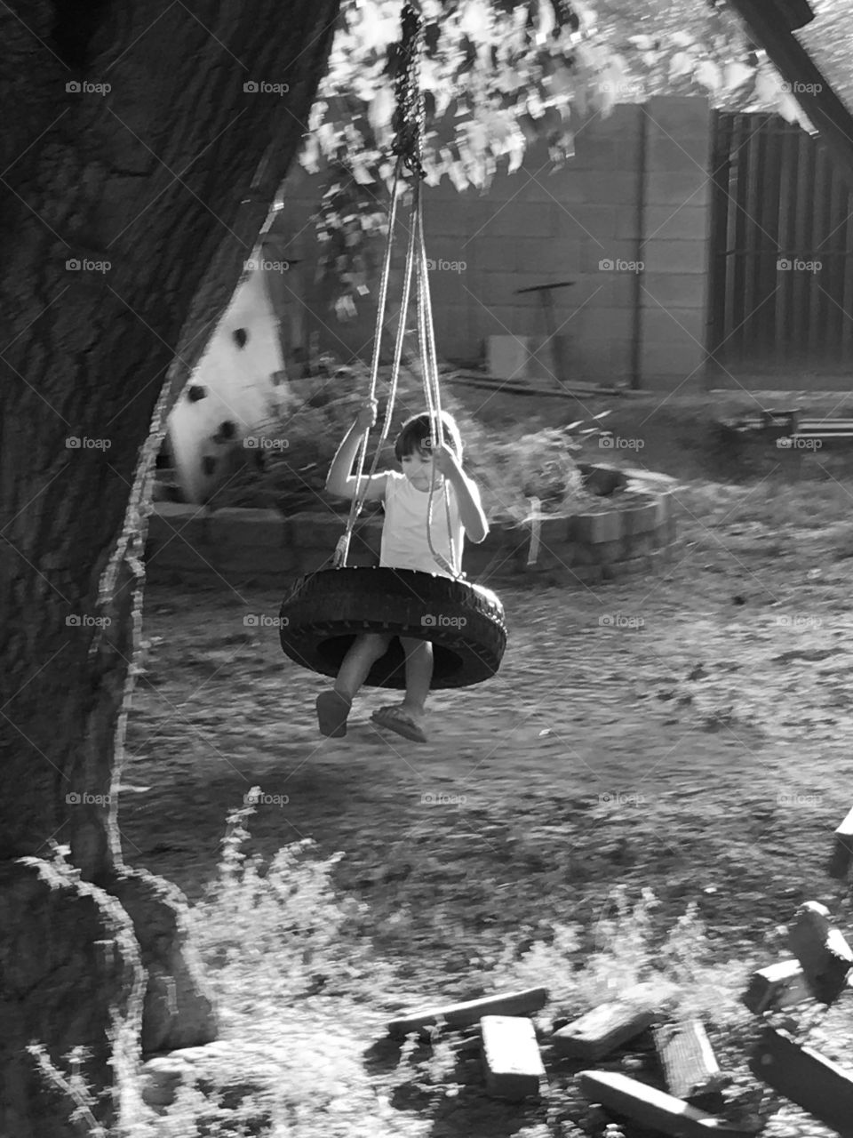 Tire swing black and white