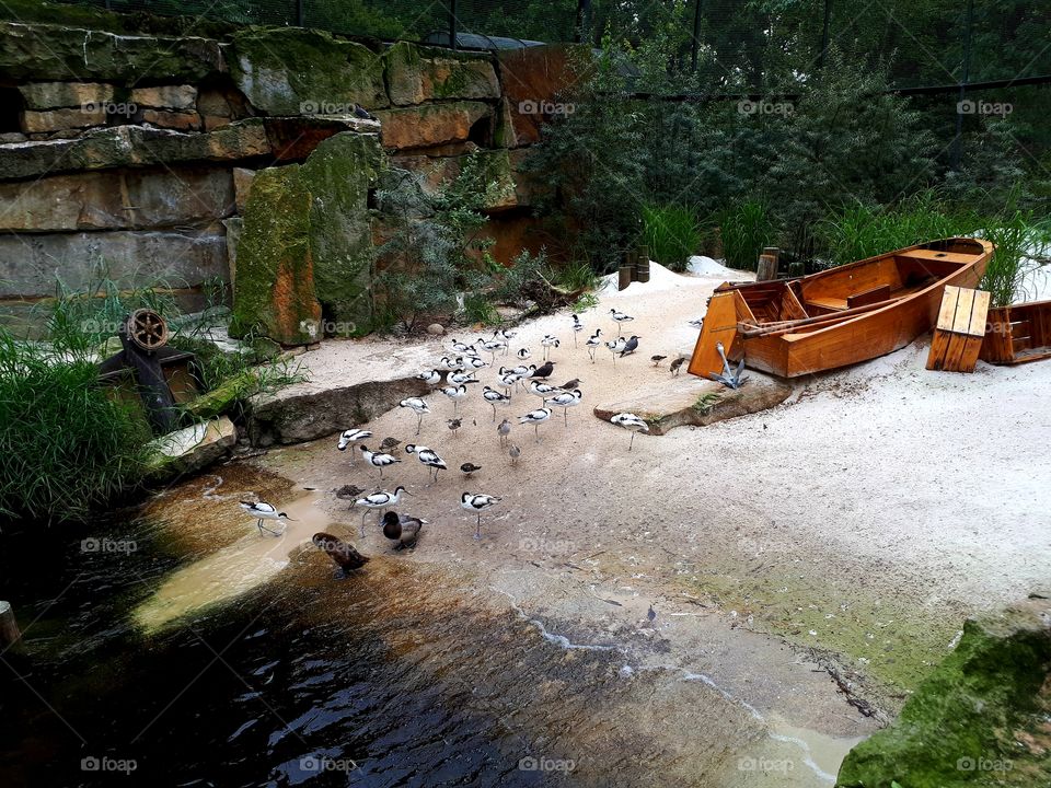 Recreation of beach in zoo enclosure with resting birds.