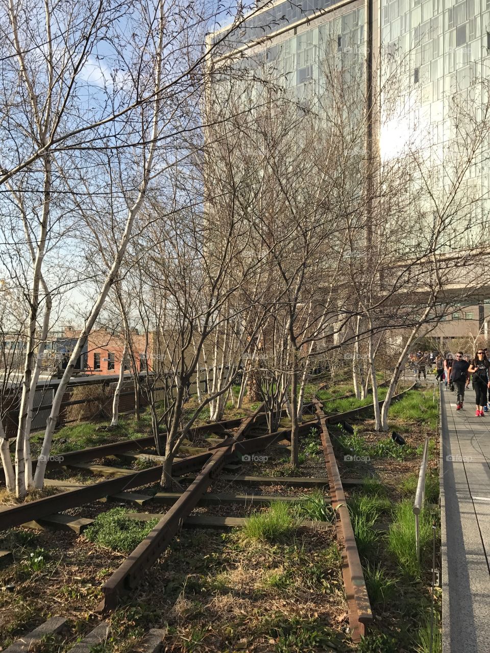 High Line, Abandoned train tracks 