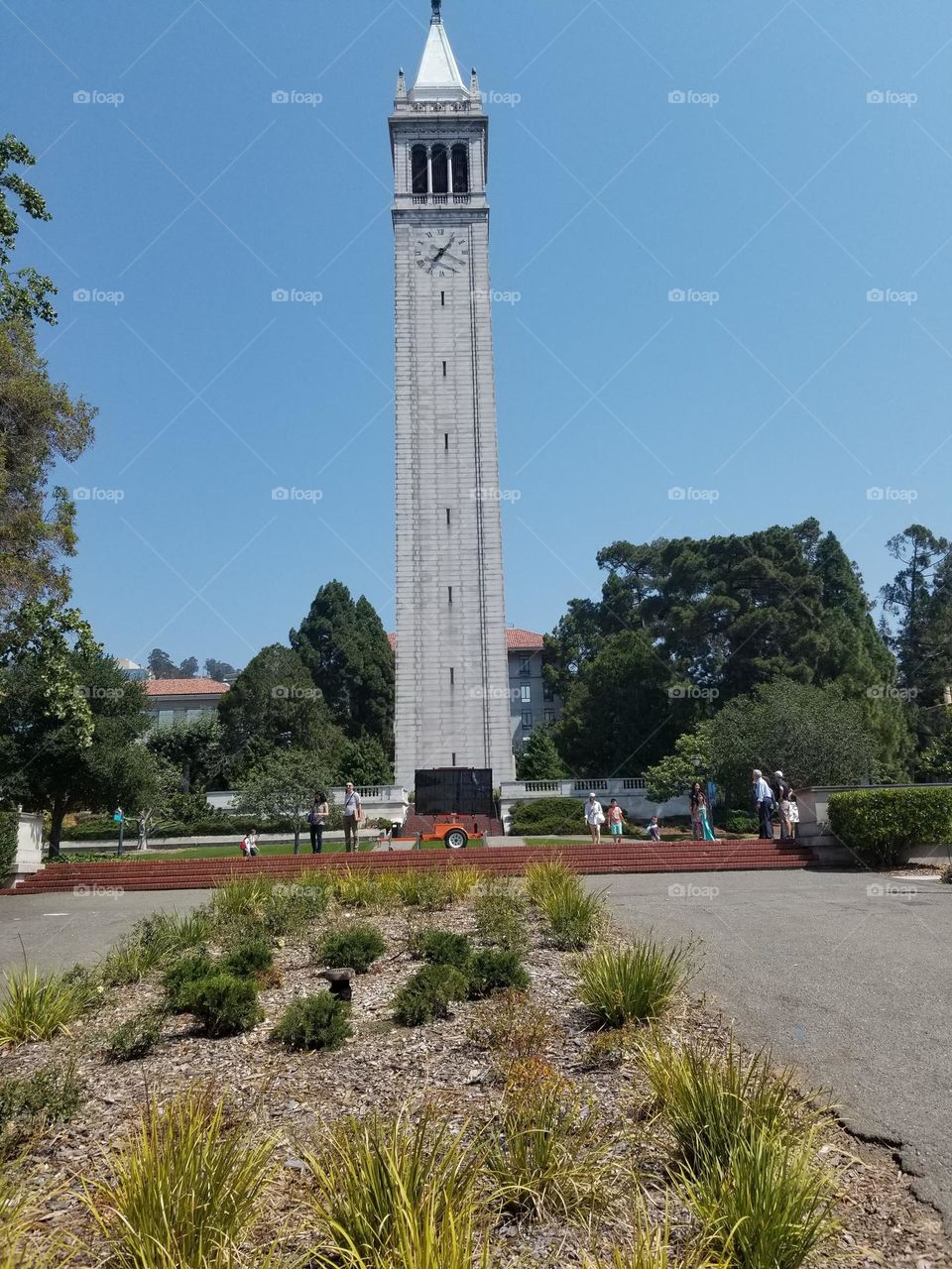 Clock tower by the university 