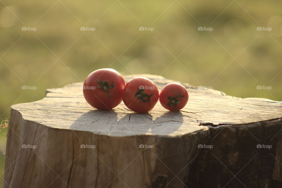 Fresh red tomatoes