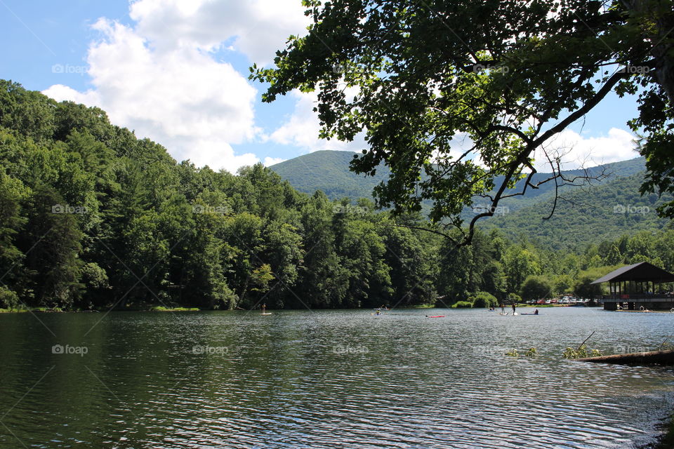 Forest trees reflected in lake