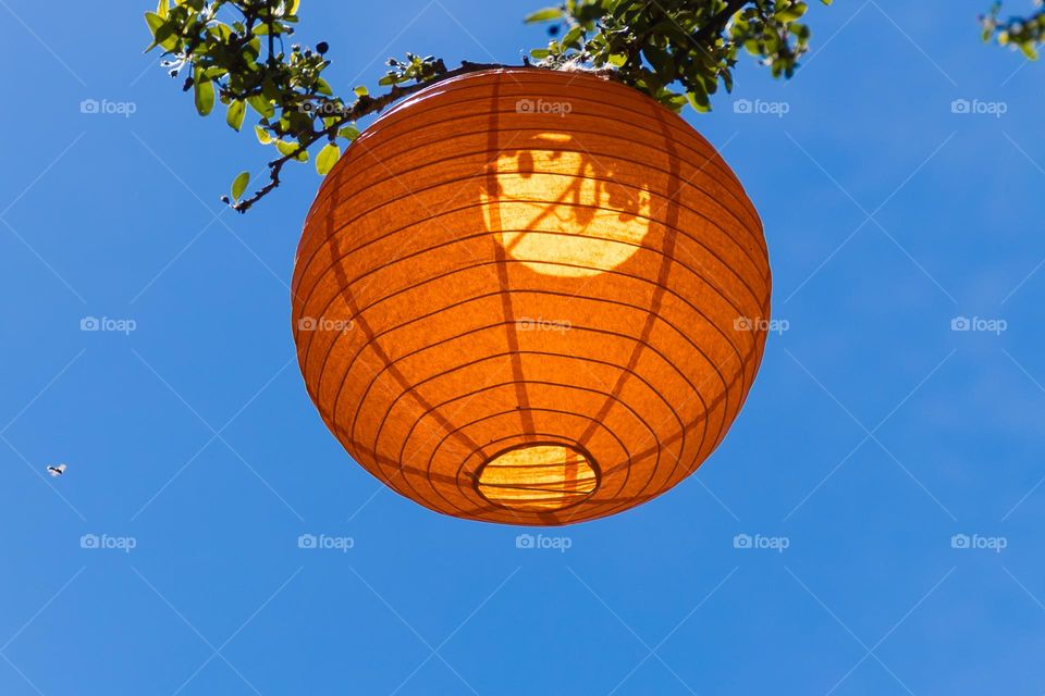 Round orange colored rice lamp hanging on tree branches with blue sky in the background, Complementary colors