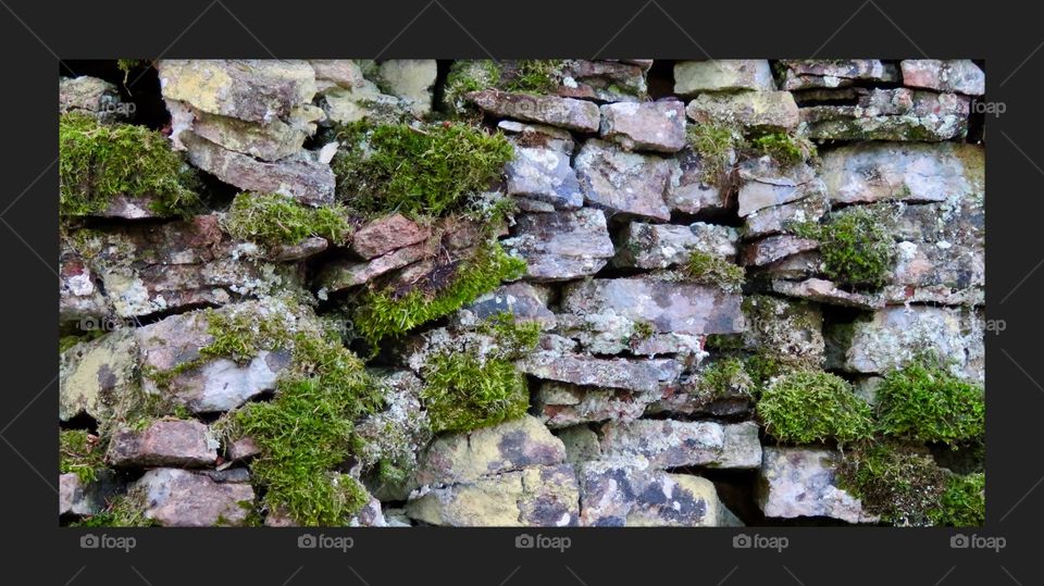 Stone Wall Jura
