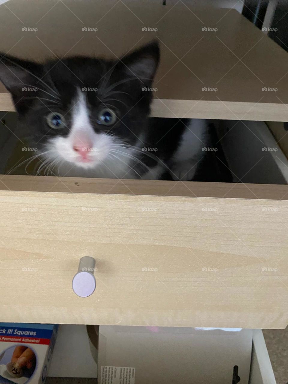 Can we play hide and seek?