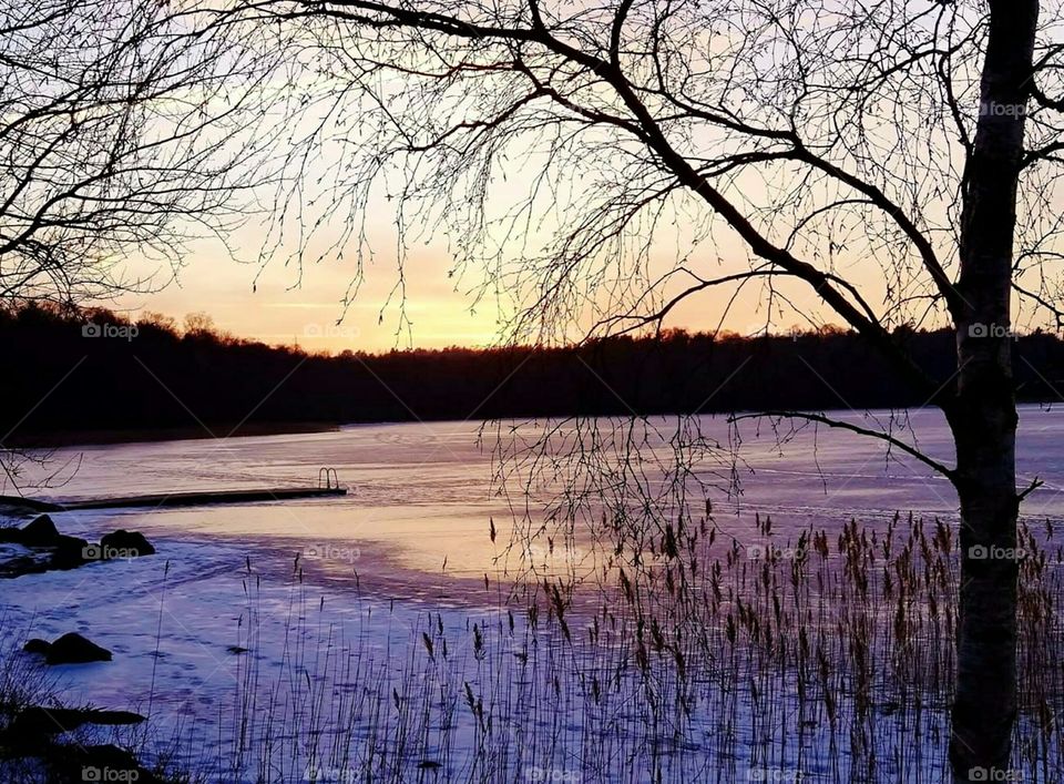 Purple winter sunset