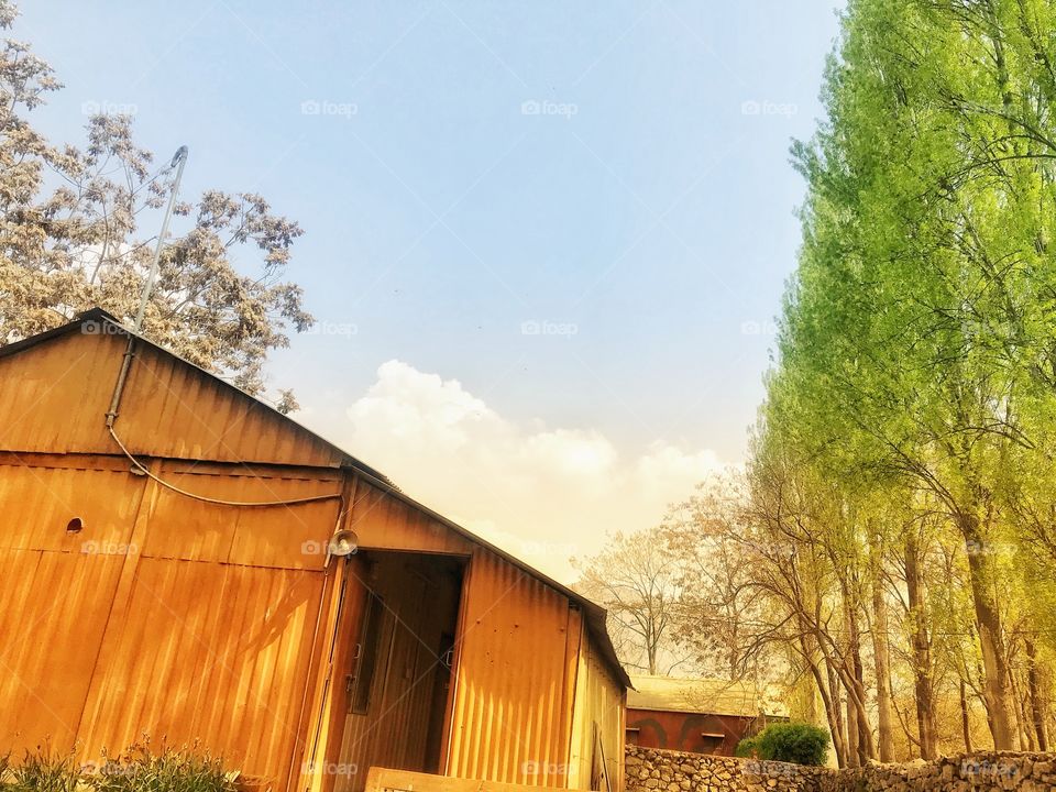 Mind over soul or soul over mind?