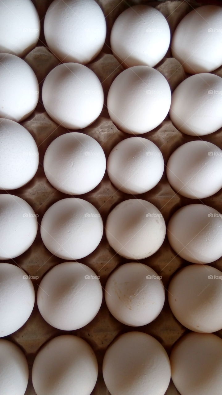 Close-up of white eggs in carton package