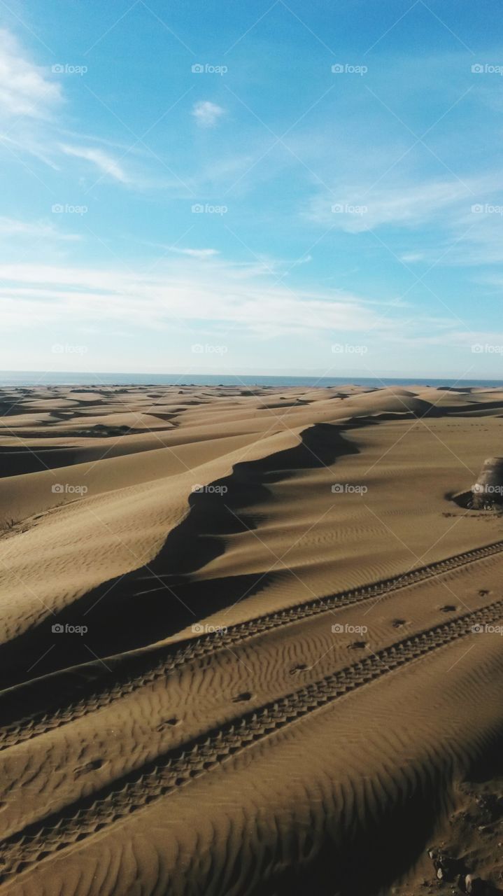 canarie dunes