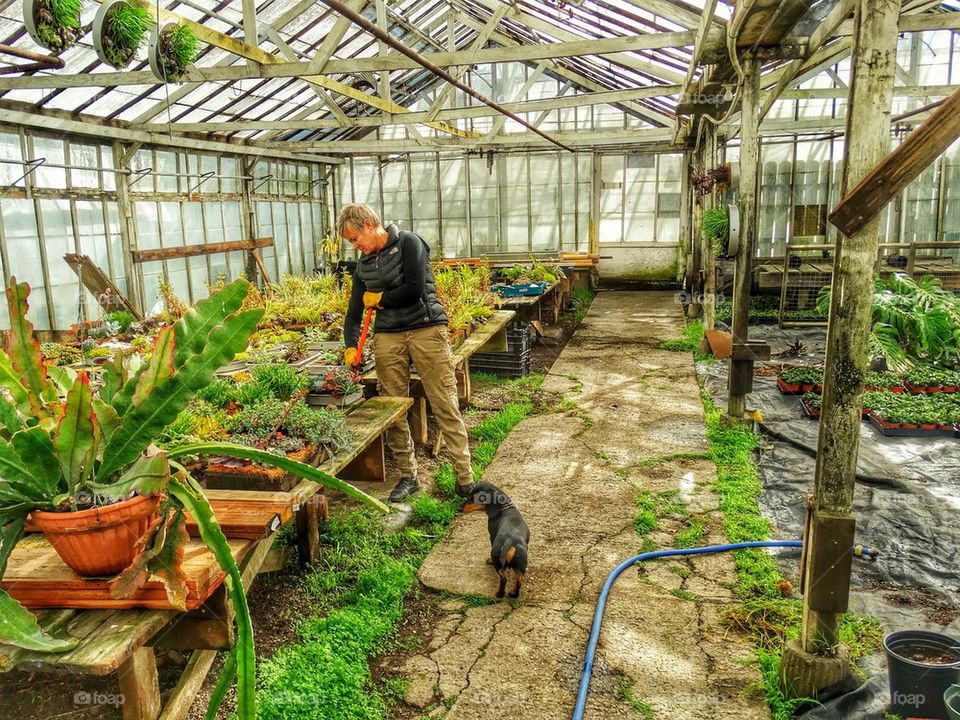 Organic Greenhouse