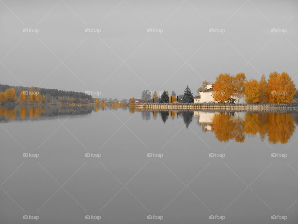 Lake, Water, No Person, Reflection, Tree