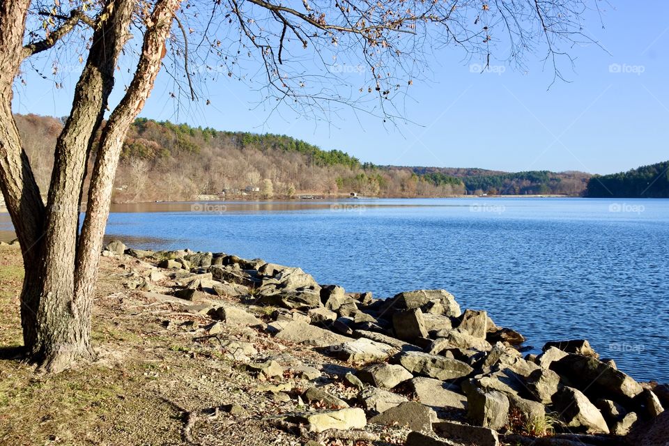 Autumn scene at the lake